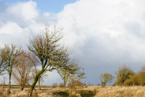 het terrein wordt doorsneden door geulen