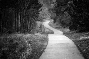 Verharde wandelpad vor o.a. rolstoelen