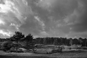 Donkere wolken boven Boswachterij Westerschouwen