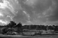 Donkere wolken boven Boswachterij Westerschouwen