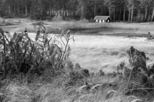 Boswachterhuisje in het Boswachterij Westerschouwen