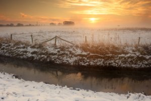 Weiland in het natuurgebied Amerongse Bovenpolder