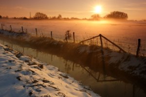 Weiland in het natuurgebied Amerongse Bovenpolder