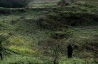 Duinen van Voorne