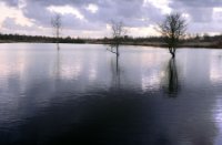 Midden Delfland Broekpolder