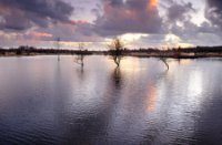 Midden Delfland Broekpolder