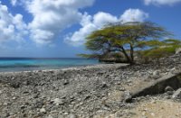 Bonaire - Washington Slagbaai National Park