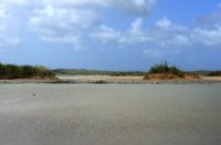 Gotomeer - Washington Slagbaai National Park