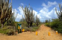 Start wandelroute - Washington Slagbaai National Park