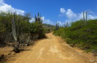 Wegen voor 4x4 - Washington Slagbaai National Park