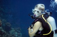 Instructeur - Bonaire National Marine Park, Bonaire National Marine Park