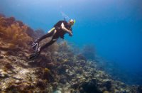 Duik buddy - Bonaire National Marine Park, Bonaire National Marine Park