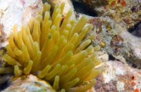 Bonaire National Marine Park, Bonaire National Marine Park