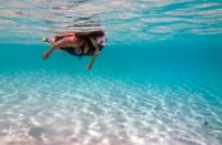 Snorkelen - Bonaire National Marine Park, Bonaire National Marine Park