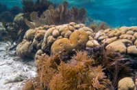 Bonaire National Marine Park, Bonaire National Marine Park