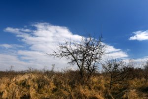 Kwade hoek in haar winterjasje