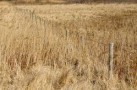 Afscherming van rustgebied voor vogels