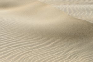 Vele vormen van stuifduinen