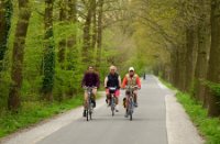 Fietser op het Landgoed Mariënwaerdt
