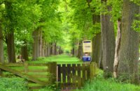 Ingang graasgebied in kampina