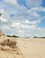 Nationaal Park Loonse en Drunense Duinen
