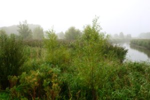 Visschersplaat
