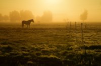 Schuwacht, Lekkerkerk, In the morning, Lekkerkerk