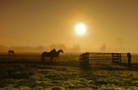 Schuwacht, Lekkerkerk, In the morning, Lekkerkerk