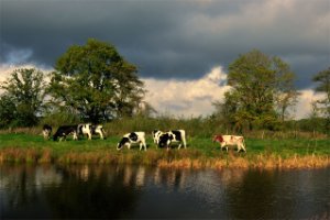 Dal van Groote Beerze