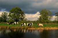 Dal van Groote Beerze, Dal van de Groote Beerze