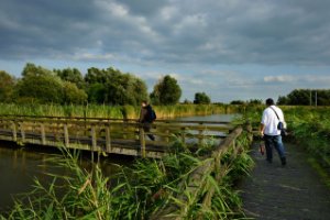 Oostvaardersplassen