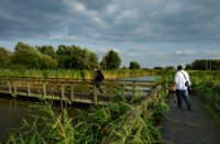 Oostvaardersplassen, Oostvaardersplassen