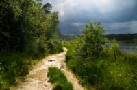Oisterwijkse Bossen en Vennen, Oisterwijkse Bossen en Vennen