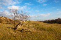 Slot Haamstede, Slot Haamstede