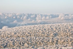 Nationaal Park Veluwezoom
