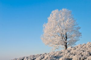 Nationaal Park Veluwezoom