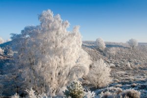 Nationaal Park Veluwezoom