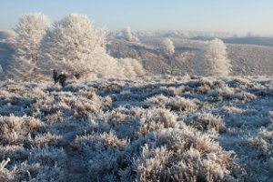 Nationaal Park Veluwezoom