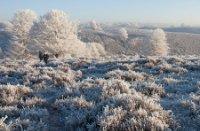 Nationaal Park Veluwezoom