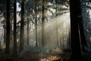 Nationaal Park Veluwezoom