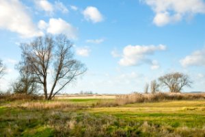 Harderbroek