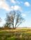 Harderbroek