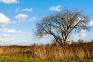 Harderbroek