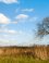 Harderbroek