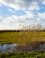 Harderbroek