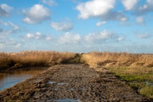 Harderbroek