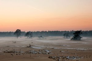Nationaal Park De Hoge Veluwe 
