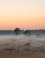 Nationaal Park De Hoge Veluwe 