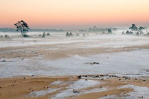 Nationaal Park De Hoge Veluwe 