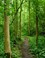 Slingerende wandelroute in het natuutgebied Wassergeest